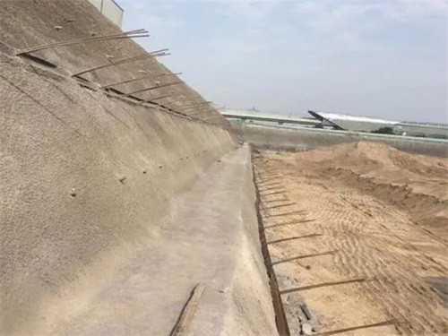大安区河道边坡加固